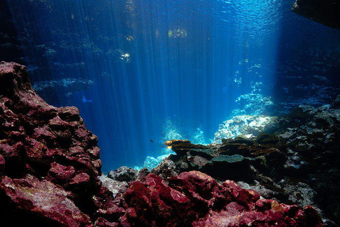 Interior Dept. Highlights Critical Mineral Prospects on the Seafloor